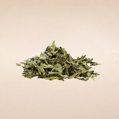 (Vana tulsi) Leaves