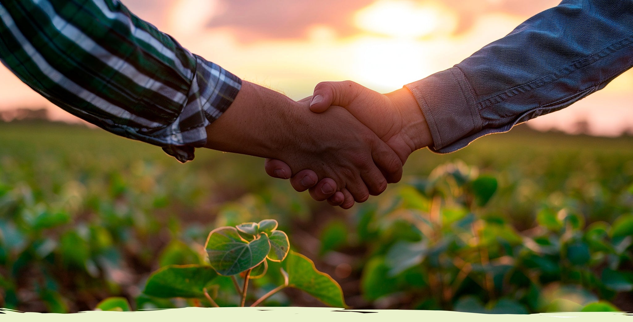 Every great journey begins with trust, vision, and a shared purpose