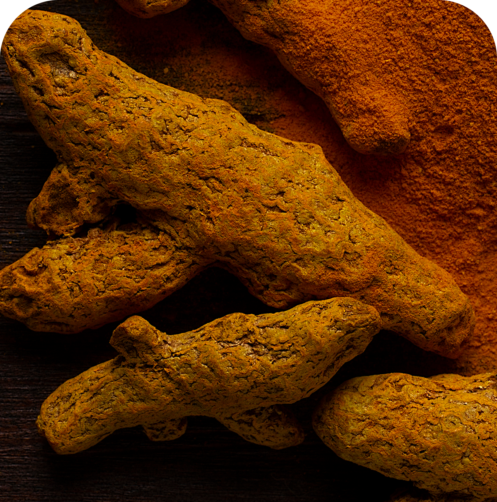 Turmeric Root Extract