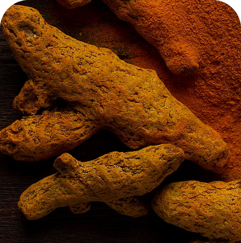 Turmeric Root Extract