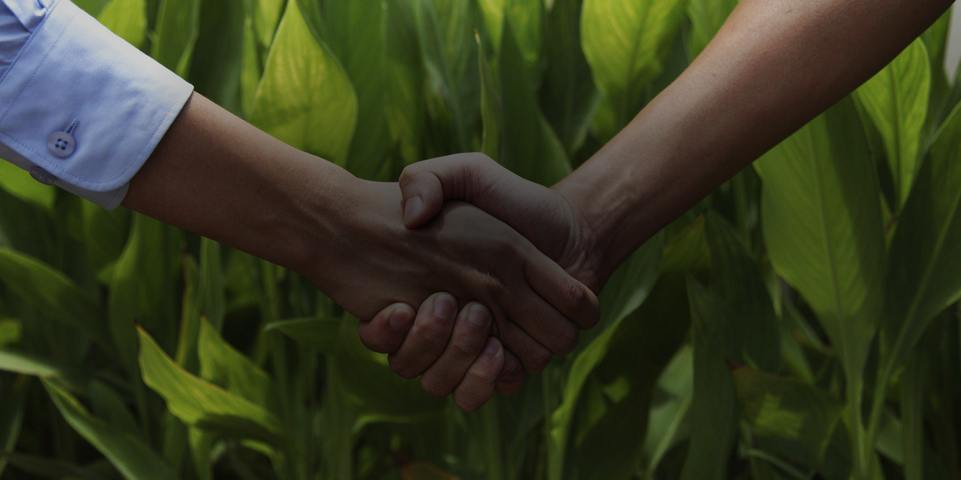 Every great journey begins with trust, vision, and a shared purpose