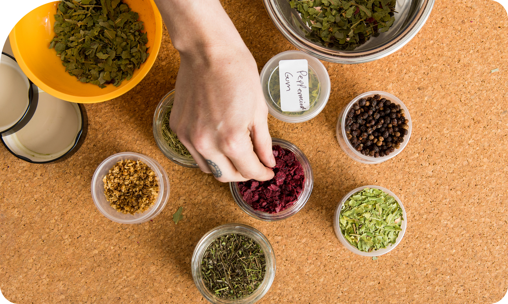 Knowledge & Commitment