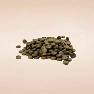 Shilajit Tablet