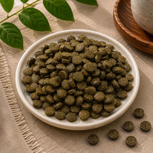 Shilajit Tablet