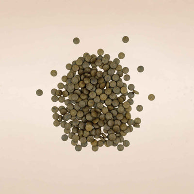 Shilajit Tablet