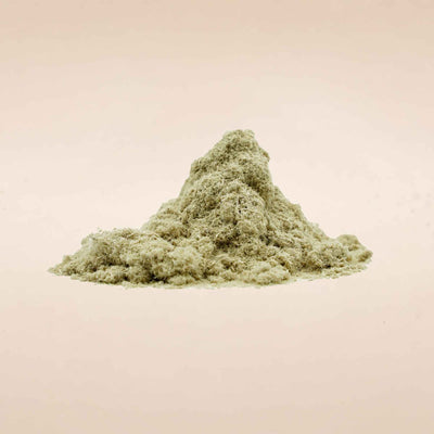 Sida cordifolia (Bala) Whole Plant Powder