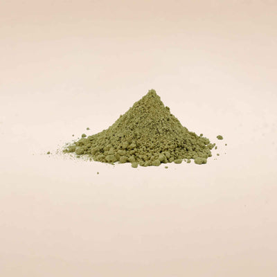 Solanum xanthocarpum (Kantakari) Whole Plant Powder