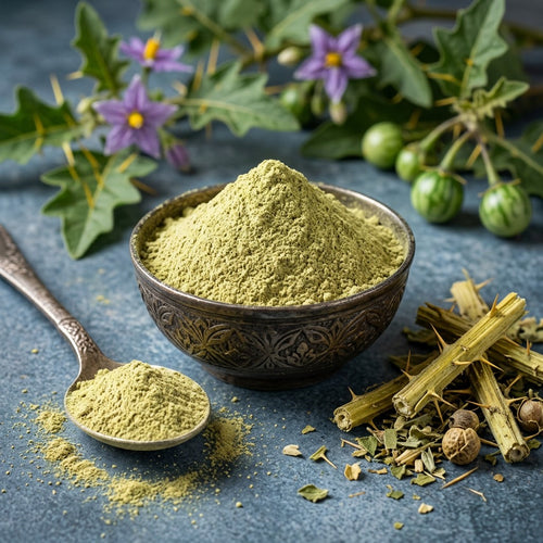 Solanum xanthocarpum (Kantakari) Whole Plant Powder
