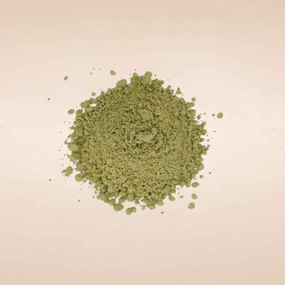 Solanum xanthocarpum (Kantakari) Whole Plant Powder