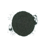 Ocimum gratissimum (vana tulsi) Seeds