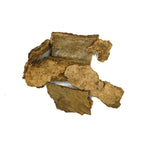 Albizia lebbeck (Siris ) Bark