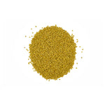 Trigonella foenum-graecum (Fenugreek) Seeds