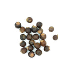 Sapindus mukorossi (Soapnut) Seedless Fruits