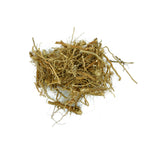 Sida cordifolia (Bala Plant) Whole Plant