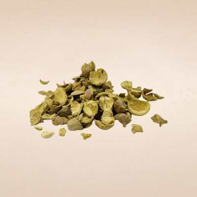 Terminalia bellirica (Bibhitaki) Seedless Fruits