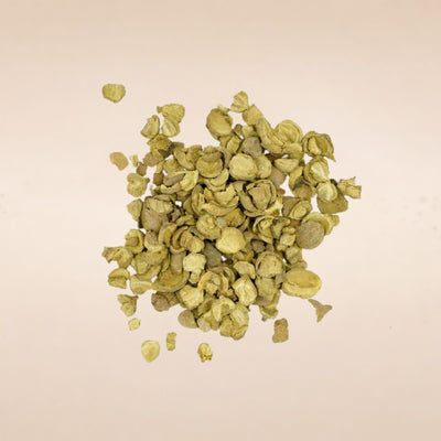 Terminalia bellirica (Bibhitaki) Seedless Fruits