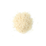 Oryza sativa (Rice)