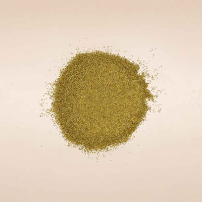 Trachyspermum ammi (Ajwain) Seeds TBC