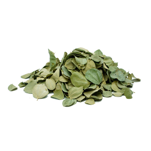 Ziziphus jujuba (Jujube) Leaves