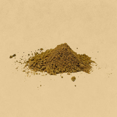 Trachyspermum ammi (Ajwain) Seeds Powder