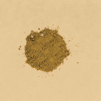 Trachyspermum ammi (Ajwain) Seeds Powder