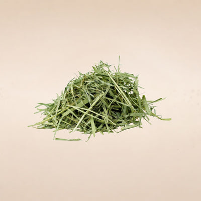 Triticum aestivum (Wheatgrass) Leaves