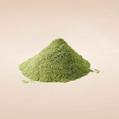 Triticum aestivum (Wheatgrass) Leaves Powder