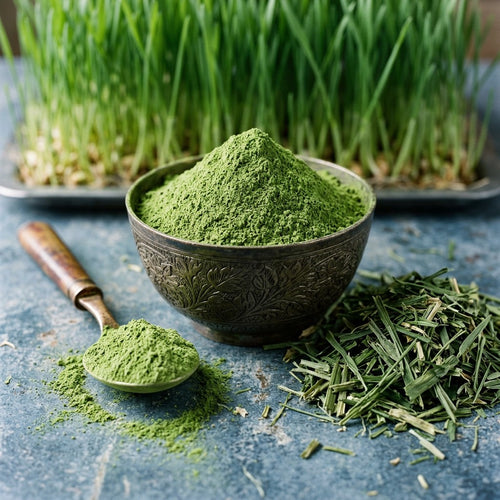 Triticum aestivum (Wheatgrass) Leaves Powder