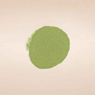 Triticum aestivum (Wheatgrass) Leaves Powder