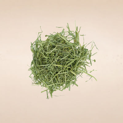 Triticum aestivum (Wheatgrass) Leaves
