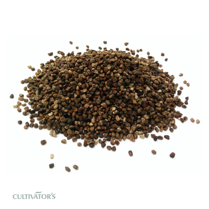 Organic Cardamom Seeds