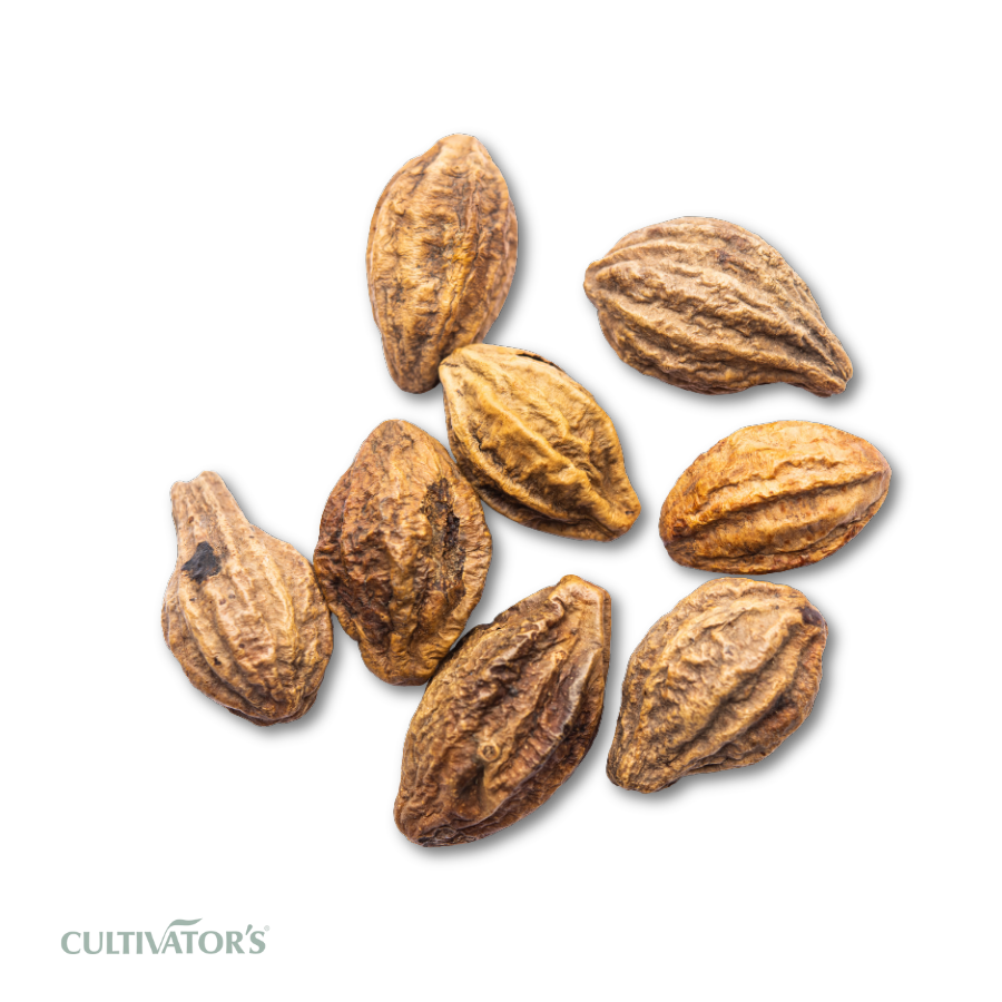 Organic Haritaki Fruit