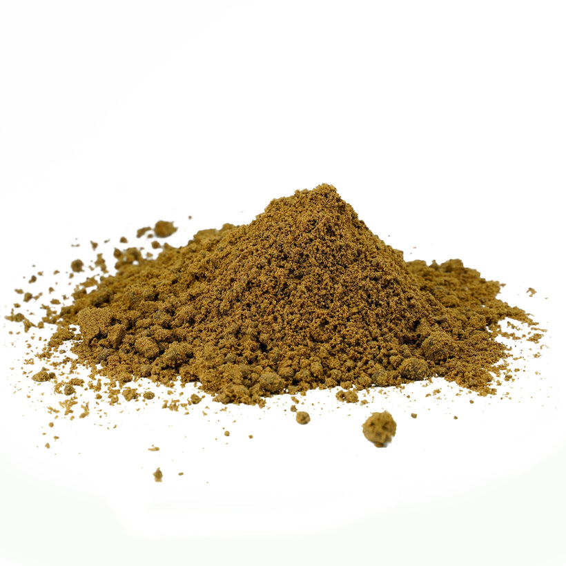 Bulk Herbal Trachyspermum Ammi (Ajwain) Seeds Powder