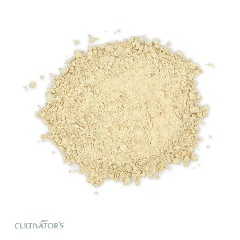 Organic Asafoetida Powder