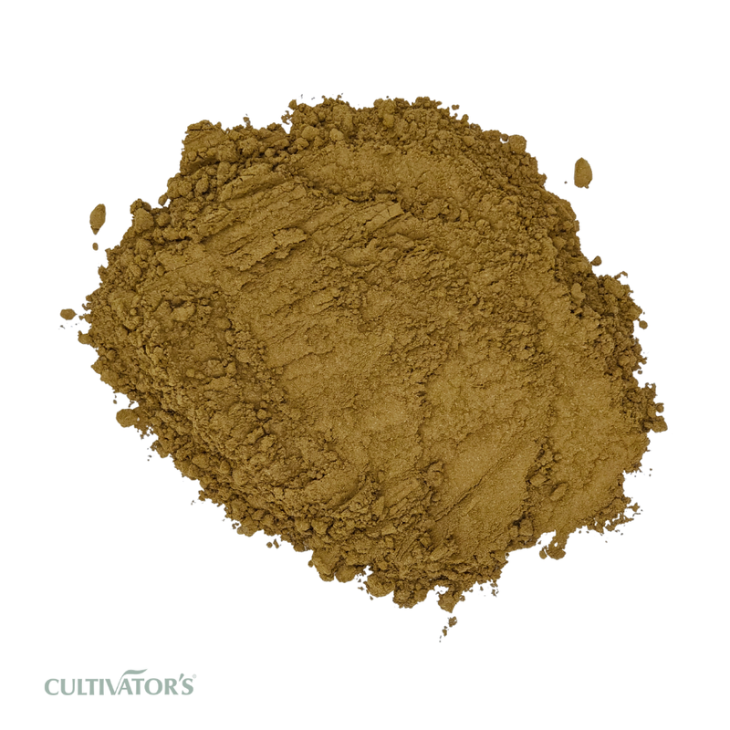 Organic Bhumi Amla Powder