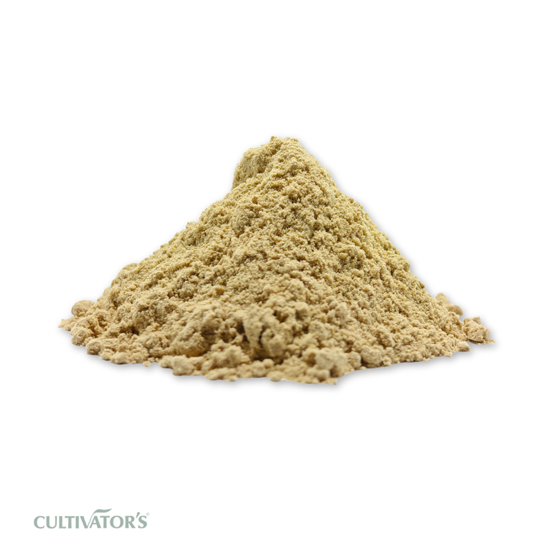 Organic Vetiver Root Powder