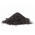 Alkanna tinctoria (Ratanjot) Root TBC