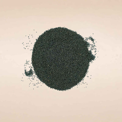 (Vana tulsi) Seeds