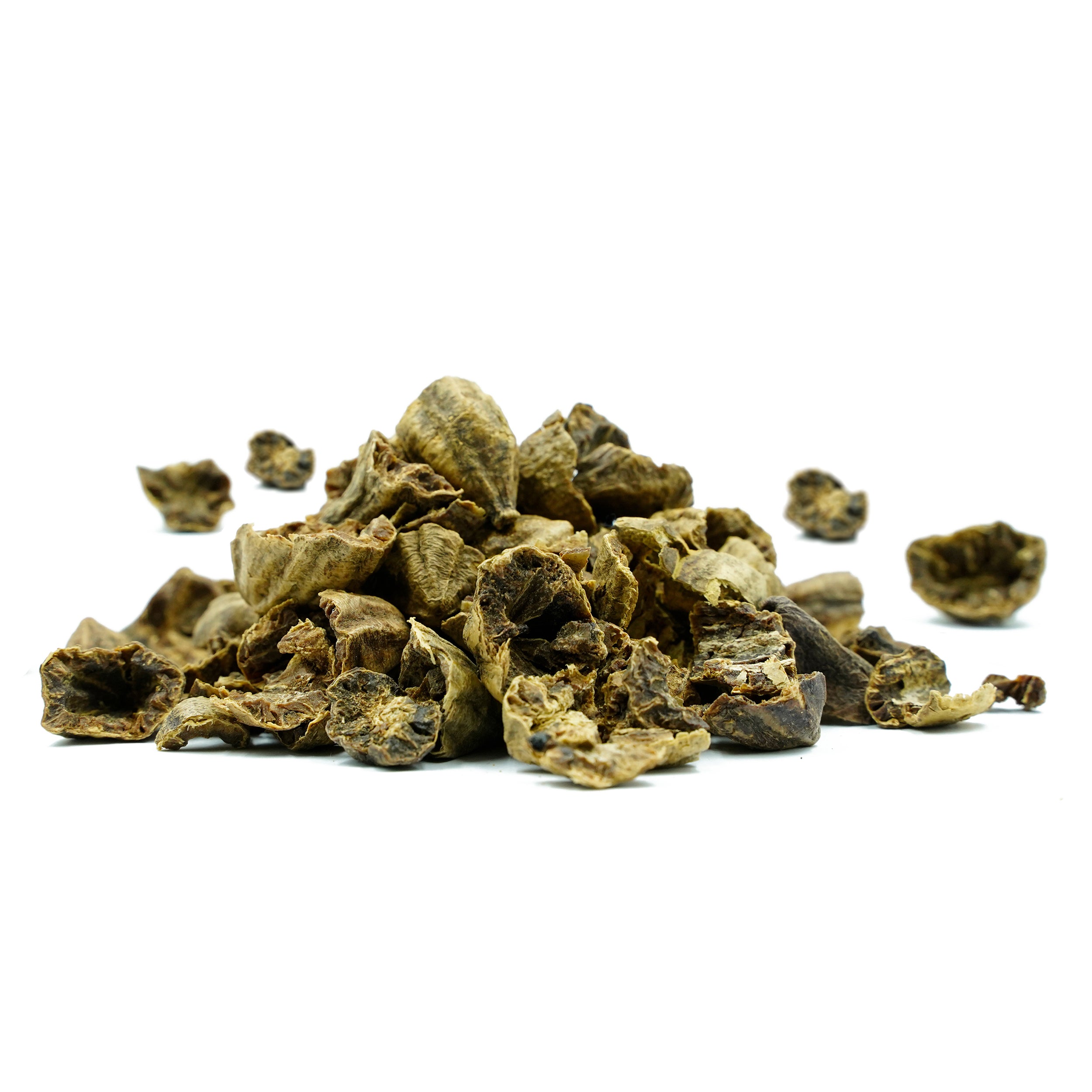 Terminalia chebula (Haritaki Fruit) Seedless Fruits