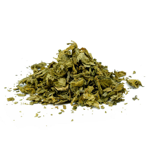 Gymnema sylvestre (Gurmar) Leaves