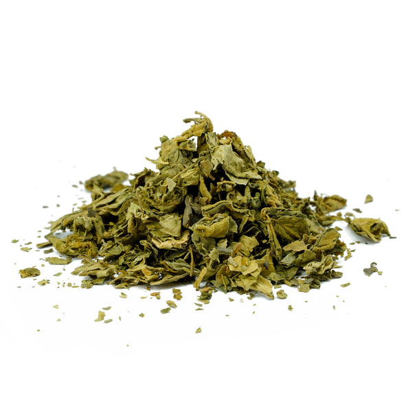 Gymnema sylvestre (Gurmar) Leaves