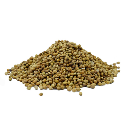 Coriandrum sativum (Coriander) Seeds