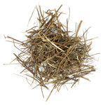 Phyllanthus amarus (Bhumi Amla ) Whole Plant