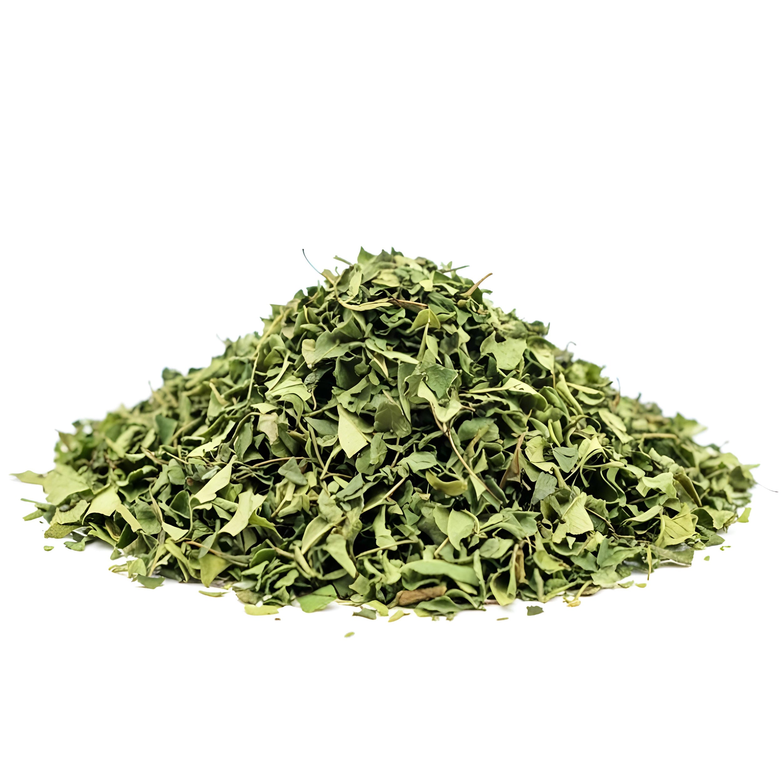 Murraya koenigii (Curry Leaves) Leaf C&S