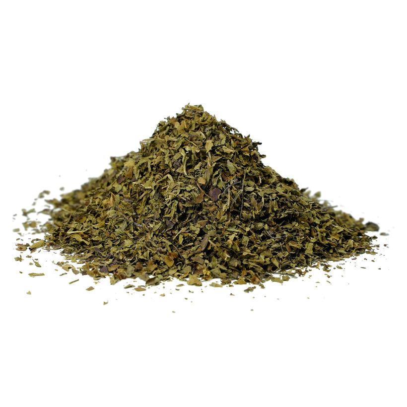 Feuilles d'Ocimum gratissimum (Vana tulsi) C&S