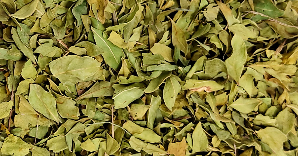 Lawsonia inermis (Henna) FI Leaves Whole | Cultivator Natural Products