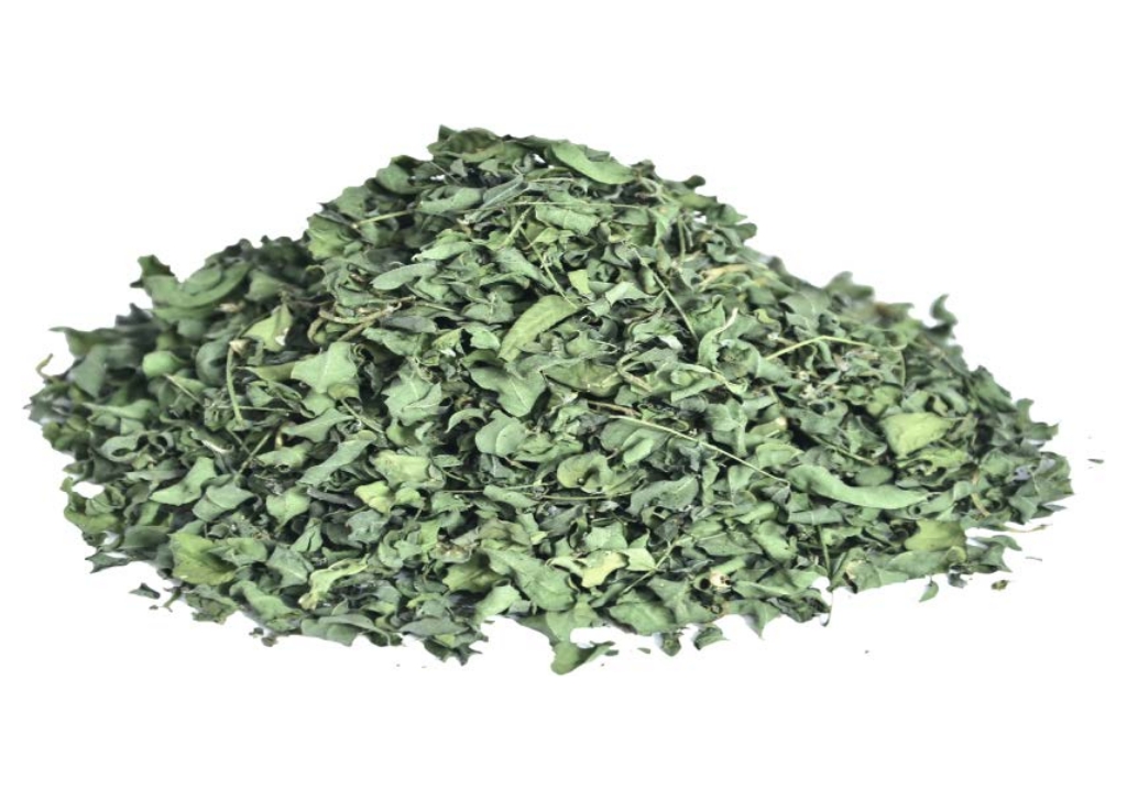 Organic Ocimum Gratissimum (Van Tulsi) Leaves - Cultivator Natural Products